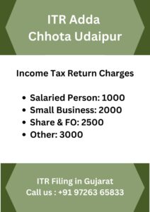 ITR Filing Consultant CA in Chhota Udaipur