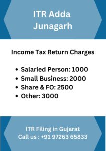 ITR Filing Consultant CA in Junagadh