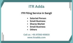 ITR Filing Consultant CA in Sangli