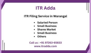 ITR Filing Consultant CA in Warangal