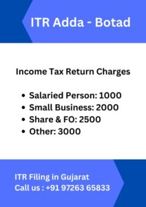 ITR Filing Consultant CA in Botad