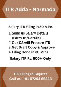 Salary Income Tax Return Filing in Narmada